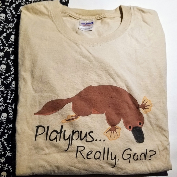 Gildan Other - HUMOROUS PLATYPUS Unisex t-shirt Mens 2XL